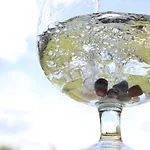 カントリーハウス Riserva Privata San Settimio Arcevia