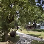 Riserva Privata San Settimio * Arcevia