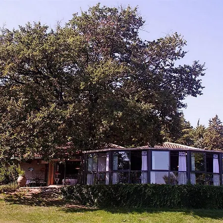 Riserva Privata San Settimio Arcevia