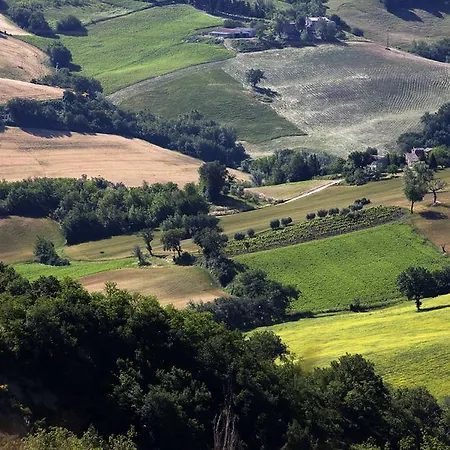 Riserva Privata San Settimio * Arcevia