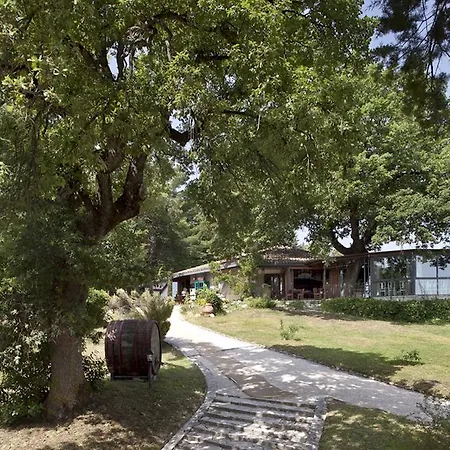 Riserva Privata San Settimio * Arcevia